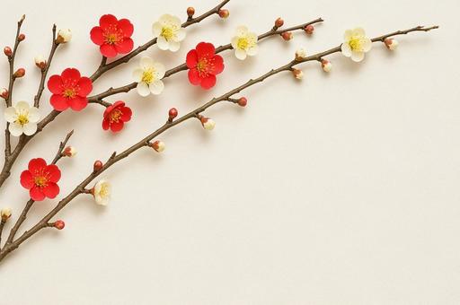 梅の花とつぼみの美しさ 梅の花とつぼみの美しさの写真