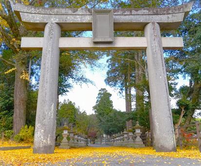 秋の鳥居（ローアングル） 神社,鳥居,秋の写真素材