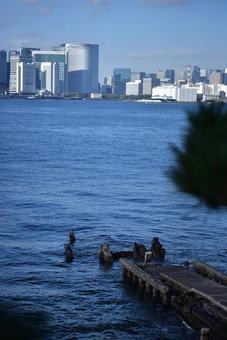 晴天の海 晴天の海の写真