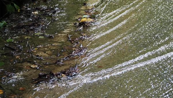 山道に溢れる水 山道に溢れる水の写真