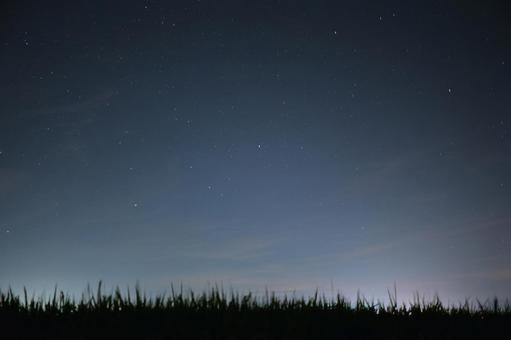 星降る夜空、夏の田んぼ 星降る夜空、夏の田んぼの写真