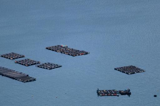五老ヶ岳公園から見た京都府舞鶴湾の雲海の写真