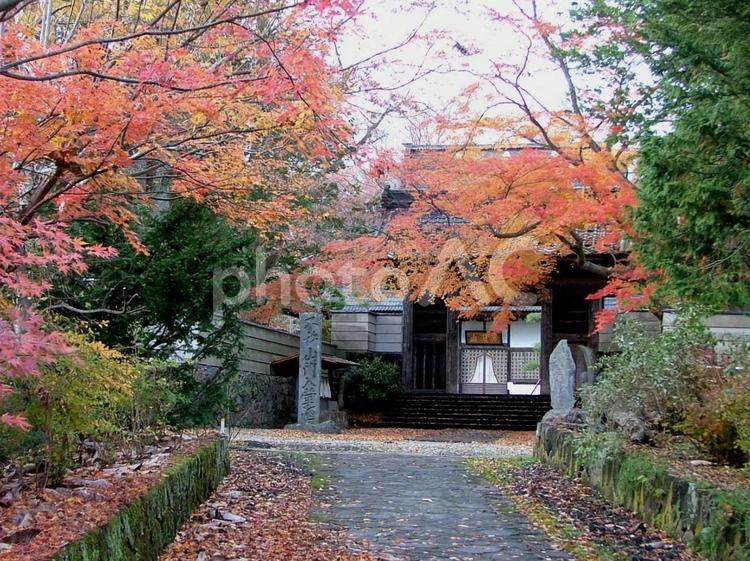 軽井沢追分宿泉洞寺の紅葉 長野県,軽井沢,しなの鉄道の写真素材