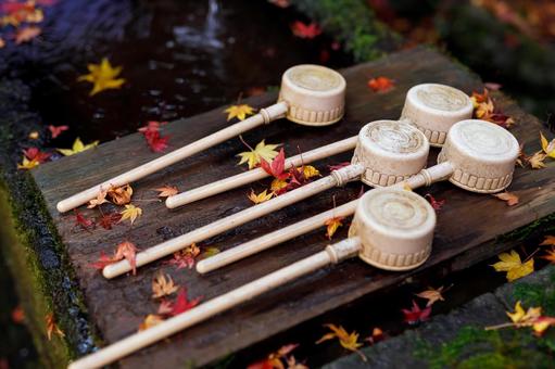 大阪大威徳寺の紅葉 紅葉,秋,秋素材の写真素材