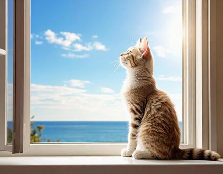 窓辺の猫、海の見える家 窓辺の猫、海の見える家の写真