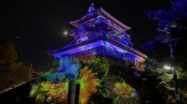 月夜の丸岡城のプロジェクションマッピング 丸岡城,プロジェクションマッピング,ライトアップの写真素材