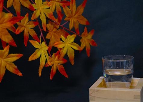 秋の日本酒② 秋の日本酒② 酒,枡,コップの写真素材