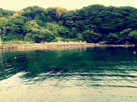 船からの景色 石巻市,猫の島,海の写真素材