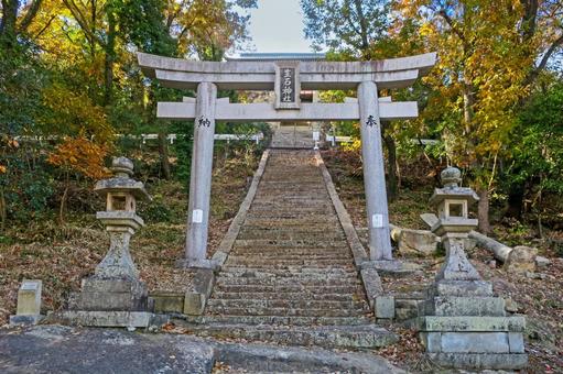 Photo, ooshiko shrine, approach, old torii, 