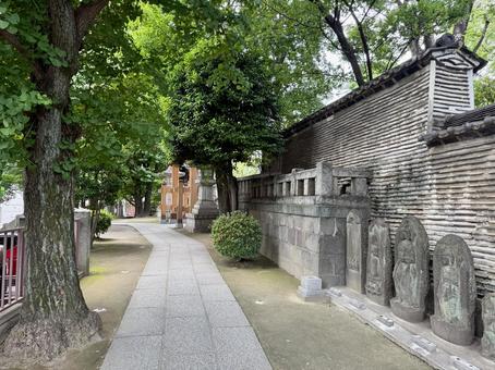 夏の待乳山聖天　山門 待乳山聖天,浅草,神社の写真素材