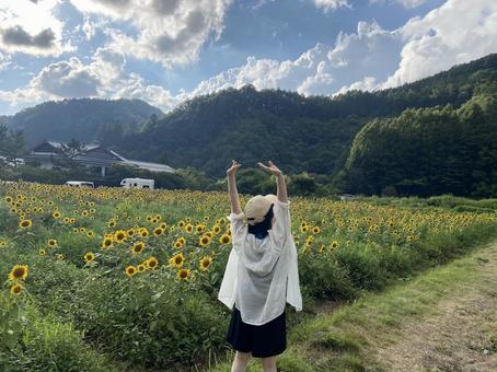 ひまわり畑でのびー！！ ひまわり,女の子,一人の写真素材