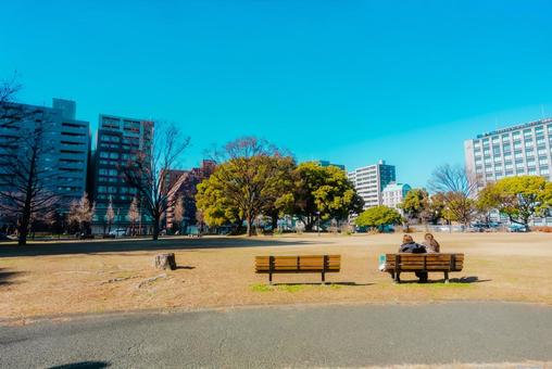 【熊本】白川公園 【熊本】白川公園 熊本,白川公園,公園の写真素材