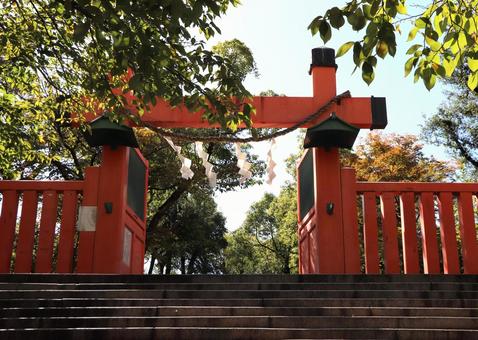 生國魂神社 北門 生國魂神社 北門の写真