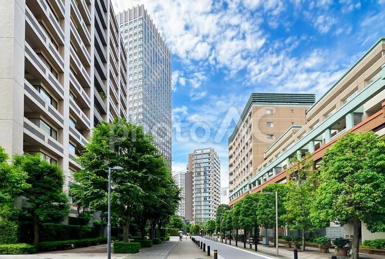 街路樹の緑が引き立てる美しい都会の建物 街並み,通り,パステルカラーの写真素材