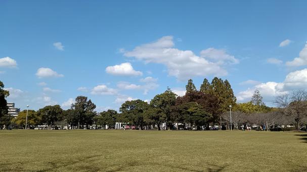 宮崎初冬の休日 休日,公園,晴天の写真素材