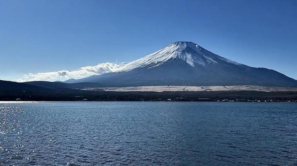 湖畔の富士山 富士山,山中湖,白鳥の写真素材