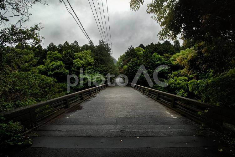 ＜五島の風景＞岐宿町河務付近の旧道 旧道,林道,橋の写真素材