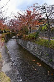 秋の哲学の道 哲学の道,コピースペース,京都の写真素材