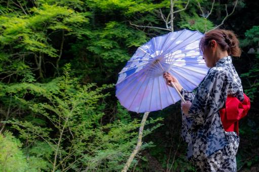 和服 和 植物 浴衣姿 浴衣 後ろ姿 和服 和 植物 浴衣姿 浴衣 後ろ姿の写真