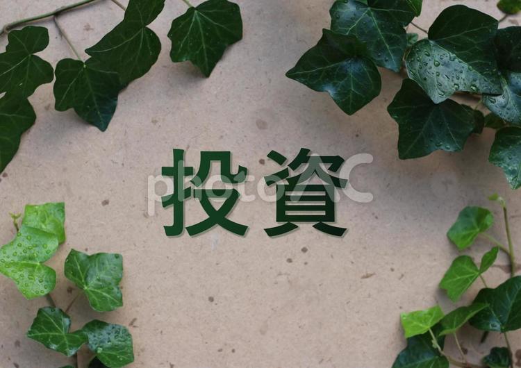 雨に濡れたアイビーと投資の文字 投資,文字,クリーンなイメージの写真素材