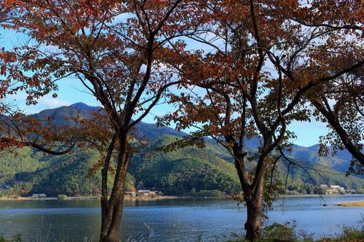 秋の河口湖周辺 秋の河口湖周辺 河口湖周辺,河口湖,湖の写真素材