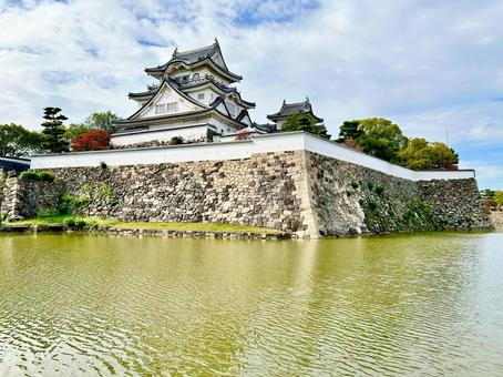 岸和田城 大阪,大阪府,岸和田の写真素材