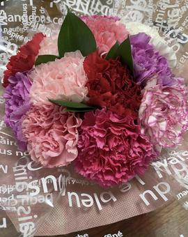 カーネーションの花束 花束,ブーケ,カーネーションの写真素材