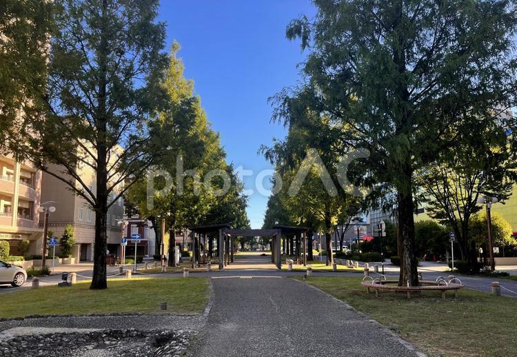 浜松の中心街の散歩道 浜松,中心街,散歩道の写真素材