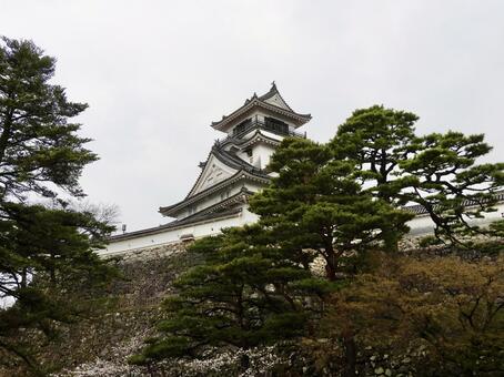 三の丸から見上げる春の高知城天守3 高知城,高知市,城の写真素材