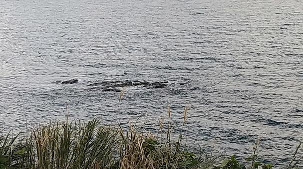 View of the ocean from the cliffs, sea, to watch, landscape, JPG