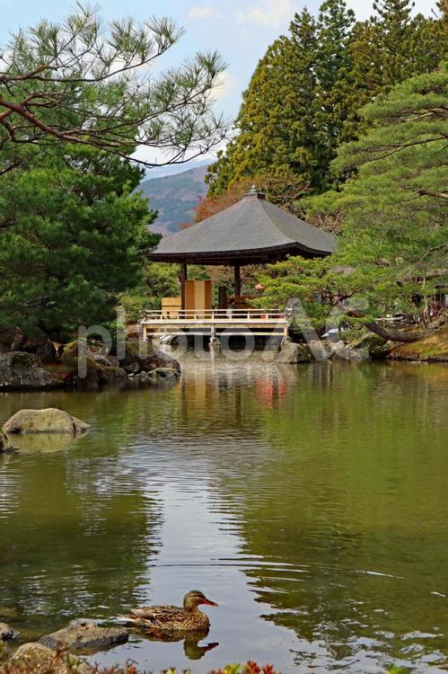 旅行や日本庭園のイメージ 旅,旅行,観光の写真素材