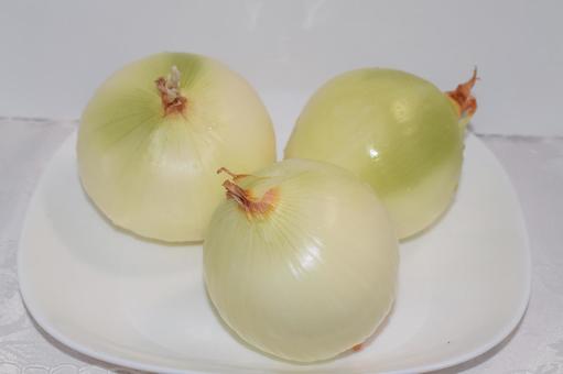 洋蔥 洋蔥