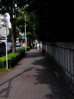 歩道の写真