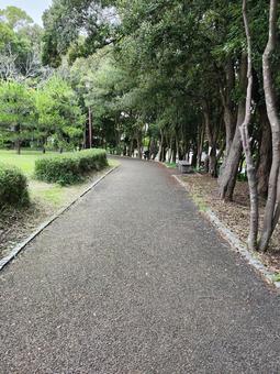 公園~道 公園~道の写真