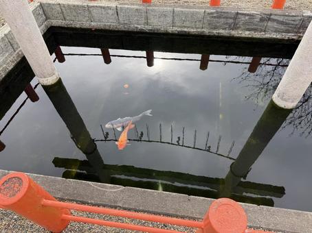 息栖神社　忍潮井　女瓶 息栖神社,東国三社,茨城県の写真素材