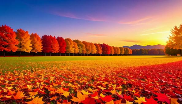 美しい紅葉の並木の風景 美しい紅葉の並木の風景の写真