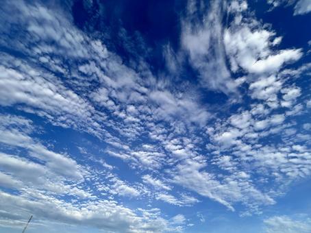青空と雲 青空と雲の写真