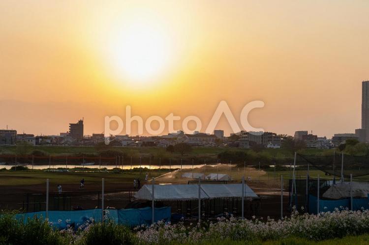 河川敷の夕陽　夕焼け 夕陽,夕焼け,美しいの写真素材