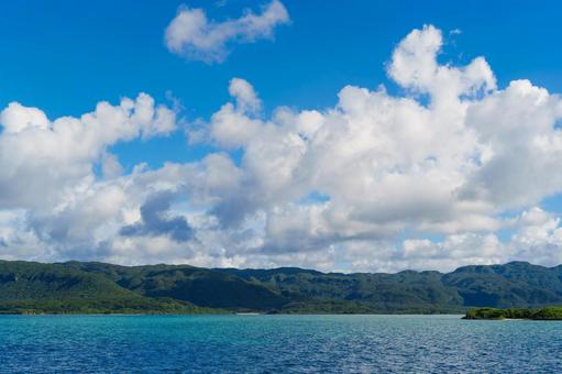 フェリーから撮影した西表島 フェリーから撮影した西表島 西表島,海,夏の写真素材