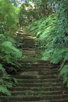 瑞泉寺ー鎌倉ー神奈川県の写真