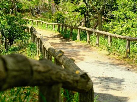 小道 小道,松島,仙台の写真素材