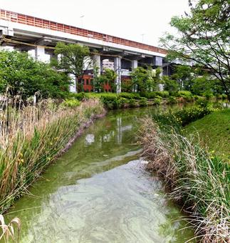 桃ケ池公園イメージ素材 桃ケ池公園イメージ素材の写真