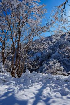 250320秋山郷清水川原、結東 250320秋山郷清水川原、結東の写真