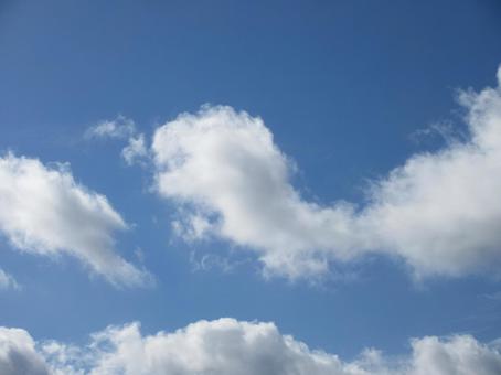 Photo, cloud, white, summer, 
