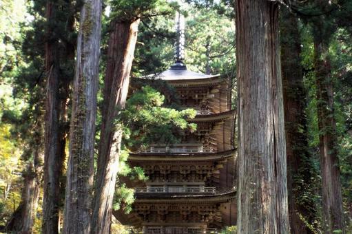 【風景写真】山形／羽黒山の風景 羽黒山,五重塔,出羽三山の写真素材