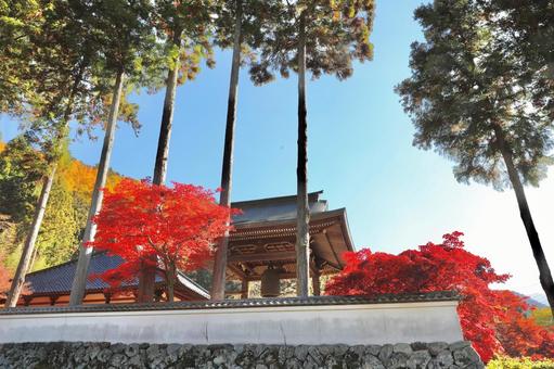 紅葉　長野県　清水寺 紅葉,長野県,清水寺の写真素材