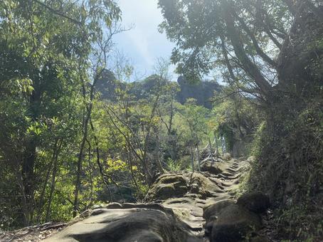 鎖場のある山道と新緑の風景 鎖場のある山道と新緑の風景 鎖場,登山道,岩場の写真素材