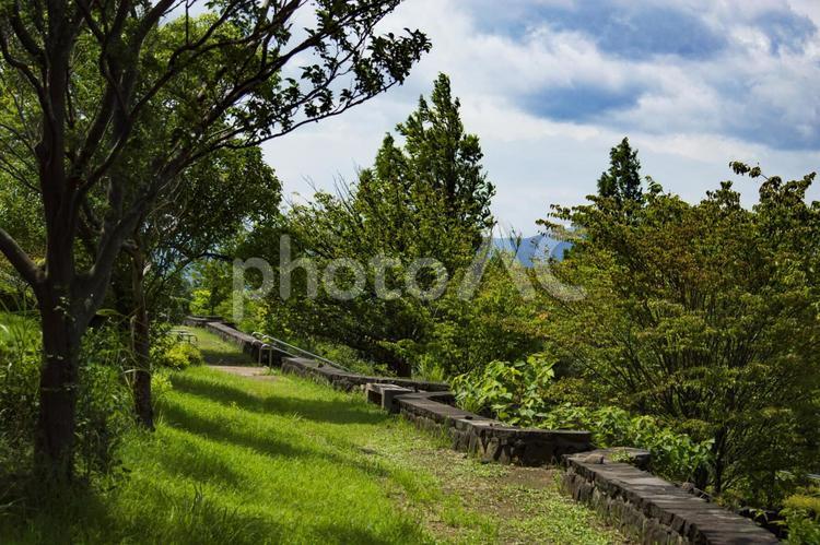 青空と森林に囲まれた公園 公園,風景,空の写真素材