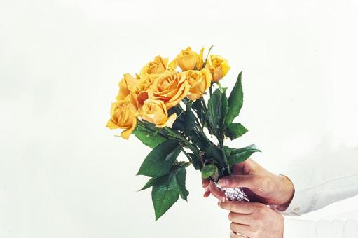 Rose flower in hand 8, JPG