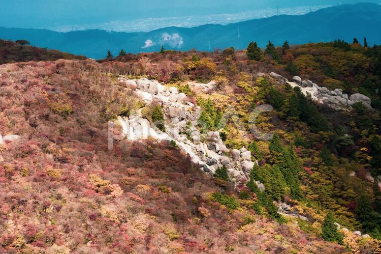 三重県-御在所岳【紅葉】 紅葉,もみじ,山並みの写真素材